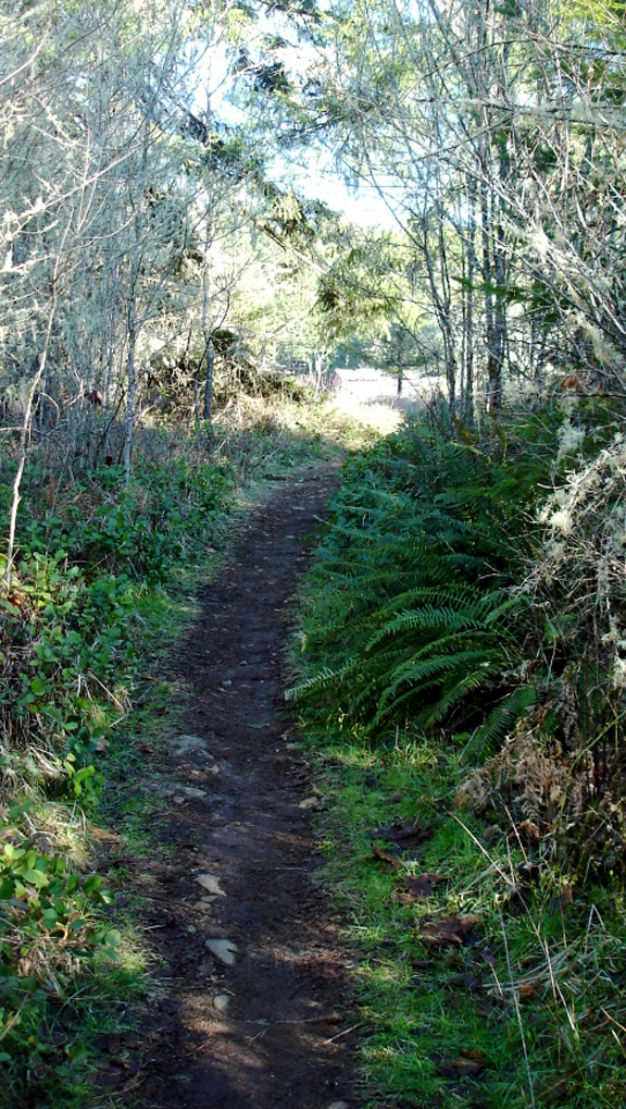 land-path from creek.jpg